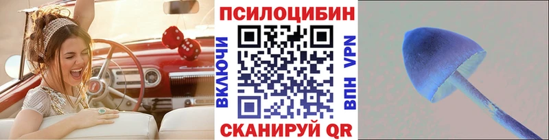 Псилоцибиновые грибы Magic Shrooms Почеп